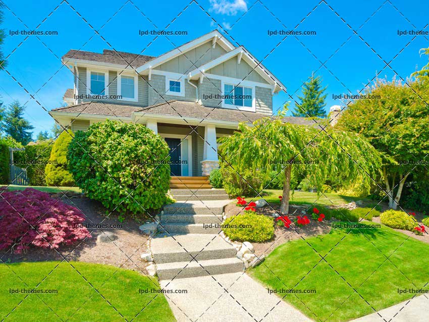 Trimmed Front Yard
